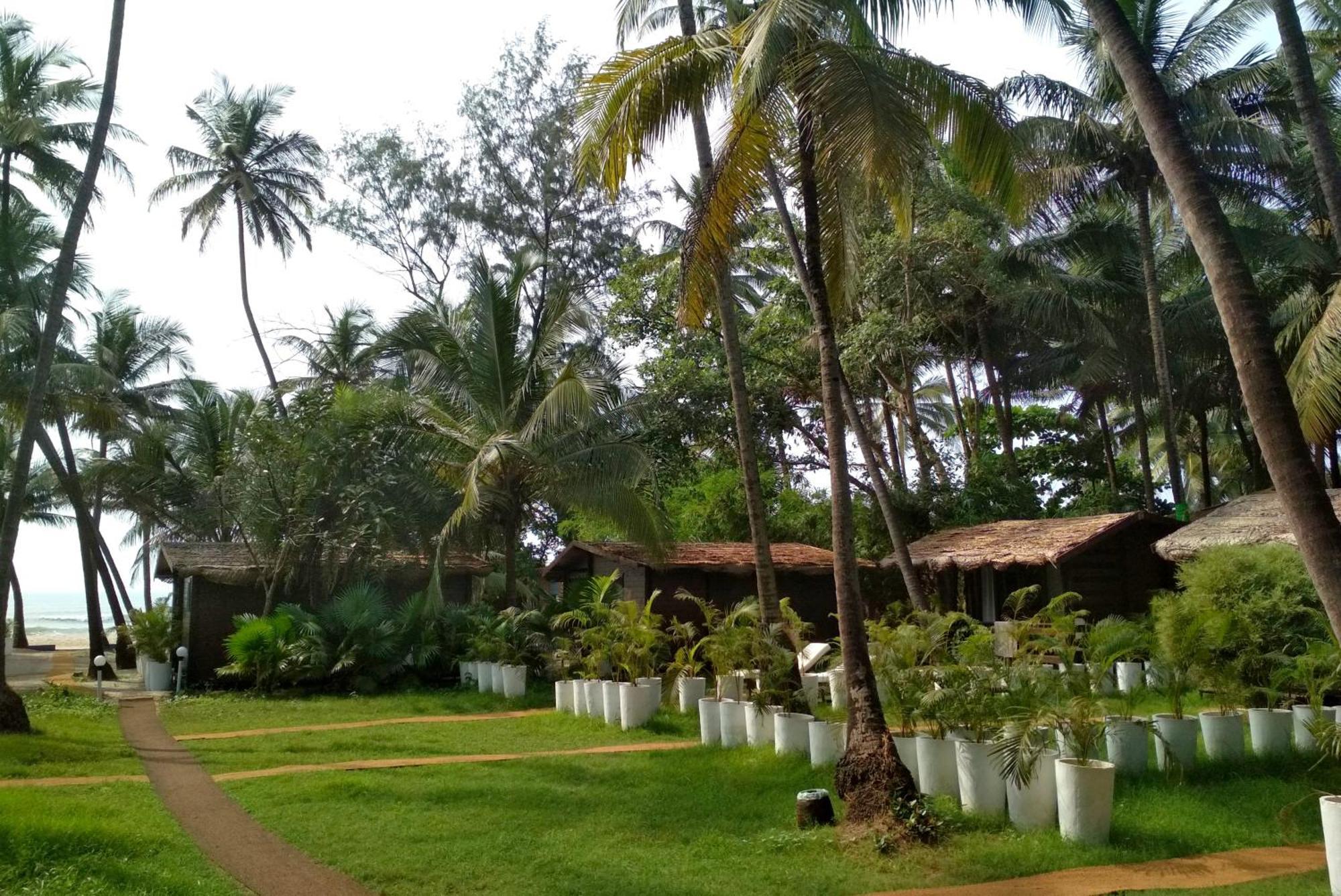 Mamagoa Beach Resort Mandrem Esterno foto